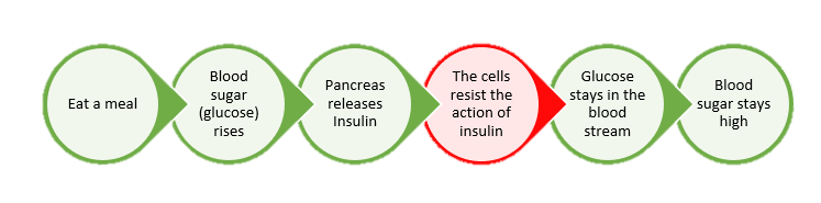 Prediabetes: insulin resistance 